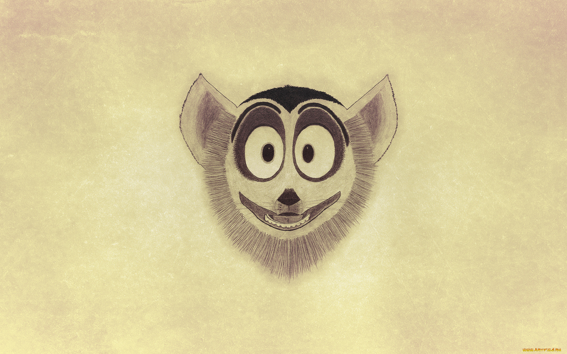 , , , , , , , madagascar, 